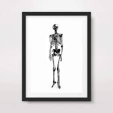 Vintage anatomy back muscles (circa 1852) b/w poster. Skeleton Black White Medical Art Print Anatomical Anatomy Medicine Human Body Biological Chart Diagram Illustration Vintage Antique Poster Home Decor Wall Picture A4 A3 A2 10 Size Options Amazon Co Uk Handmade