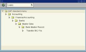 If the second character is 0, then it is typically a test bic as opposed to a bic used on the live network. Bic Transfer Bank Data From Bic Database Sap Transaction