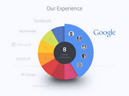 Infographic Pie Chart Visualization Chart Infographic