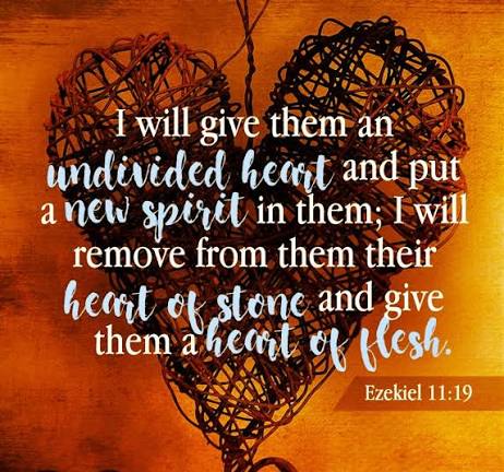 Mary Ann - Heart of Flesh 🤍 Ezekiel 11:19 is a Bible verse where God  promises to give his people "one heart" and a "new spirit" by removing their  "heart of stone"