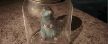 Rémy est un jeune rat qui rêve de devenir un grand chef français. Subway Rats Are Actually The Ultimate New Yorkers So Stop Hating Ratatouille Movie Ratatouille Streaming Movies Free