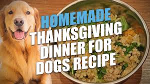 Find out more about your pet's safety here. Homemade Thanksgiving Dinner For Dogs Recipe Youtube