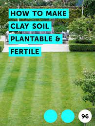 Learn How To Make Clay Soil Plantable Fertile How To Guides Tips And Tricks Garden Soil Organic Vegetable Garden Organic Gardening Soil