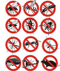 Using secure trade on junk mail means that you can transact. Control De Plagas En Ardsley On Hudson Ny 914 275 0772
