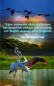 Turkan Gulsen Adli Kullanicinin Guzel Sozler Panosundaki Pin Iman Guzel Soz Islam