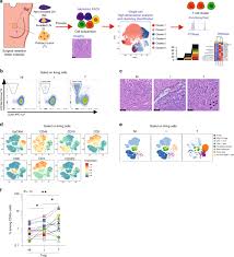 I don't know if lymph node surgery is of use or benefit to women whose disease is already advanced. Tumor Invasion In Draining Lymph Nodes Is Associated With Treg Accumulation In Breast Cancer Patients Nature Communications