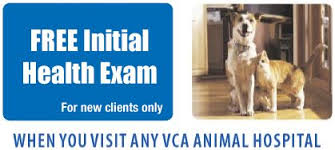 Ffe Thank You Hospital In Dallas Tx Vca Lakewood Animal Hospital Animal Hospital Pet Health Hospital