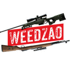 Belgas tv 2 дня назад. Dashboard Video Weedzao Impressionei Os Belgas Tv Com A Awm Ft God Wins Free Fire Wizdeo Analytics