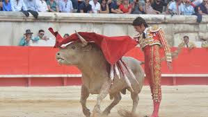 Nimes Tout Le Programme De La Feria Pour Ce Dimanche Midilibre Fr