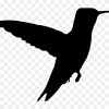 Pikbest telah menemukan 145240 burung untuk mempelajari lebih lanjut burung hitam templat,grafik atau file vektor latar belakang untuk mendesain unduh gratis untuk anda. 1
