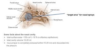 Image result for Intranasal Ciclesonide