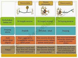 Maybe you would like to learn more about one of these? Sains Tingkatan 4 Bab 11 Sains Mania