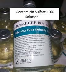 Gentamicin is used to treat severe or serious bacterial infections. Gentamicin Sulfate 100mg Injectable Solution Veterinarian Supply Store