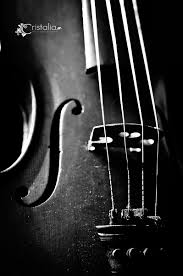 Black And White Music Instruments Photography Still Life Photography Violin Antique Enchanted Black White Music Instruments Classical Music Music Photography