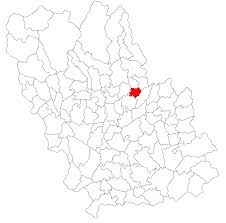 Pentru control sunt afişate toate cele 6 coduri poştale alocate căii bucureşti. Commune Of Surani Prahova Familypedia Fandom