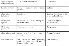 Table Ii From Comparison Of Sporicidal Activities Of