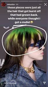 Was her iconic black and green hair a wig? Billie Eilish S Mullet Haircut Popsugar Beauty