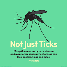Amesh Adalja On Twitter Lymestats Drjudystone There Is No Evidence That Lyme Disease Can Spread Via Mosquitoes