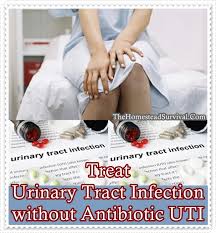 We did not find results for: Treat Urinary Tract Infection Without Antibiotic Uti The Homestead Survival