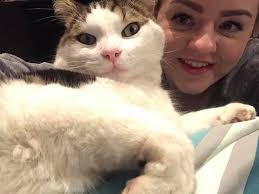 UPDATE: (02Jun2016) Still missing!