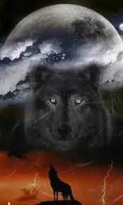 Pin By Ercan Aetin On Lobo Tatoo Wolf Spirit Animal Fantasy Wolf Wolf Love
