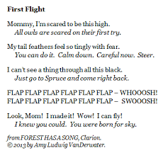 The Poem Farm First Flight From My New Book Teaching Poetry Poems New Books