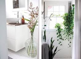 Las plantas son muy importantes en la decoración de interiores. Decoracion De Banos Con Plantas Simplythinkshabby