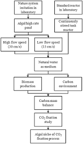 flow chart of methodology download scientific diagram