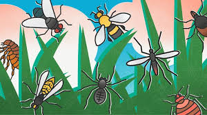 Bed bugs are the fastest growing pest problem in the world. Bug Bite Danger Zones Everyday Health