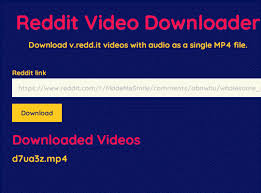 Make sure it looks like this example How To Download Videos From Reddit With Sound