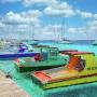 Profile Picture of Bonaire & Tropical Islands Wall Art - Tammy Wetzelon Google