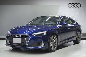 Image result for Navarra Blue 2023 A5