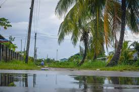 Where was the first badminton tournament in suriname held? Best Things To Do In Suriname With Your Kids Tripelle