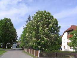 See traveler reviews, 5 candid photos, and great deals for pension eva, ranked #1 of 1 b&b see why so many travelers make pension eva their inn of choice when visiting neuhaus am inn. Pension Eva Neuhaus Am Inn Updated 2021 Prices