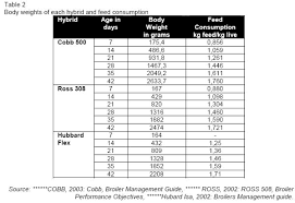 Broiler Chicken Breeding In Households Engormix