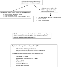 Flow Diagram Summarizing The Recruitment Procedure And The