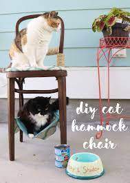 Diy cat hammock, it's the ultimate diy kitty bed!subscribe for more videos! Borrowed Heaven Diy Cat Hammock Chair