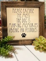 Kim Schmelzer (kimschmelzer)