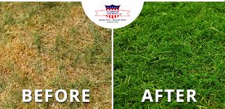 Before you can correct the brown patches and restore your grass water the brown spots often with your garden hose if they are a result of too much fertilizer or dog urine. Common Lawn Diseases And How To Treat Them All American Turf Beauty Inc