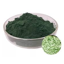 China Super chlorophyll powder Manufacturers Suppliers Factory -  YanggeBiotech