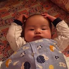 Alex Koh (@alex.k.o.h) • Instagram photos and videos