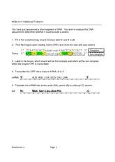 Some of the worksheets for this concept are practicing dna transcription and translation, cell cycle dna replication transcription translation, protein synthesis practice 1 work and answers pdf, ipa. Homework Transcription And Translation Answers Mcb 2410 Additional Problems You Have Just Sequenced A Short Segment Of Dna You Wish To Analyze This Course Hero