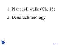 Check spelling or type a new query. Plant Cell Walls Consist Mainly Of Docsity
