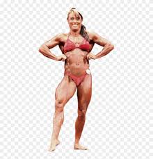 To view the full png size resolution click on any of the below image thumbnail. Bodybuilding Fitness And Figure Competition Physical Female Body Builder Png Transparent Png 500x874 3689437 Pngfind