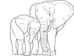 Ausmalbild Elefant Und Baby Im Zoo In 2020 Ausmalen Zootiere Ausmalbilder Tiere