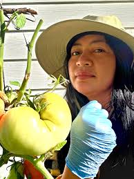 Heirloom tomato to the belly... ❤️🍅❤️