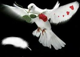 Princess Bubu Bubu Adli Kullanicinin Lovely Dove Birds Panosundaki Pin Resim Hayvanlar Painting