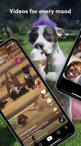 Tiktok Mod Apk Download Premium Desbloqueado 2021