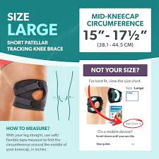 Image result for Patella Tracking Assessment