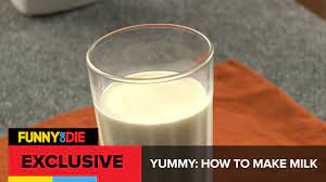 The grass and hay cows eat is turned into milk by the mammary glands, at the end of a complex digestive and hormonal process. Yummy How To Make Milk Youtube